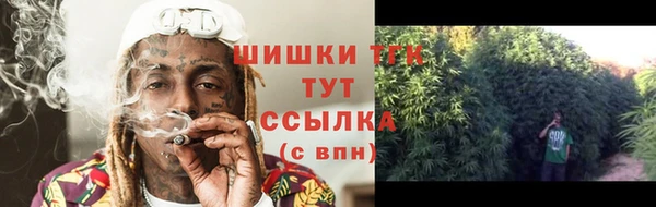 гидропоника Белокуриха