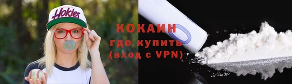 шишки Богородск