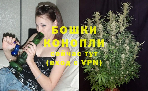 тгк Бронницы