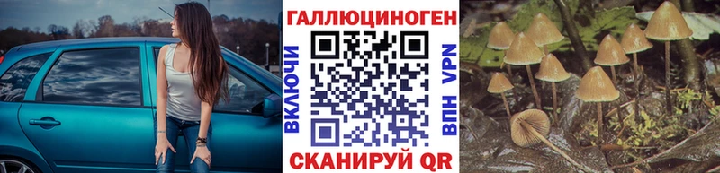 Галлюциногенные грибы Magic Shrooms  продажа наркотиков  Велиж 